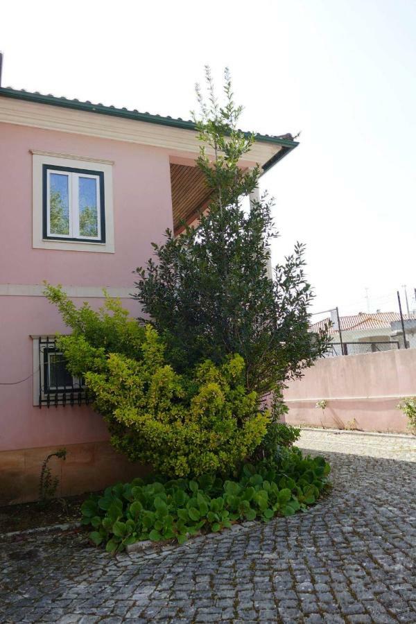 Casa Da Palmeira Leiria Exterior photo